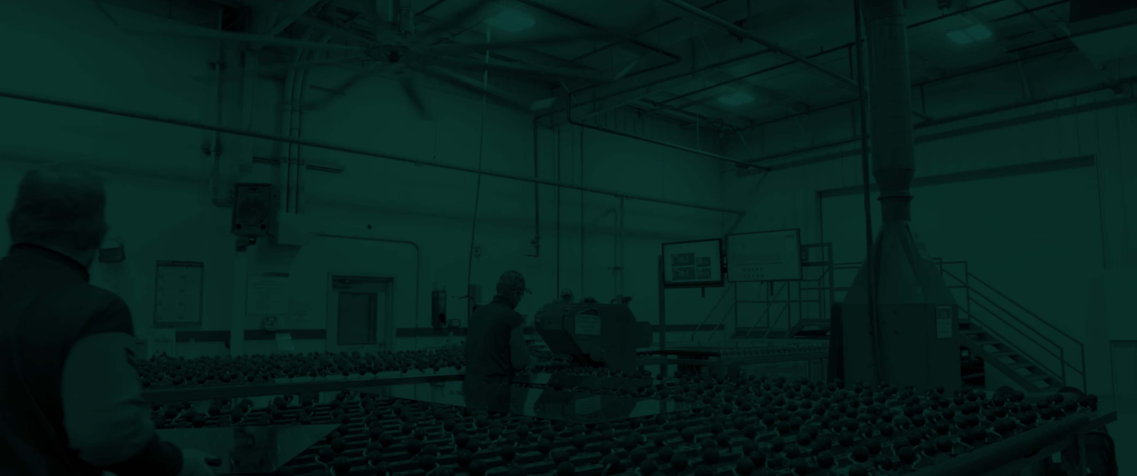 An interior view of Cardinal SGCG glass factory.